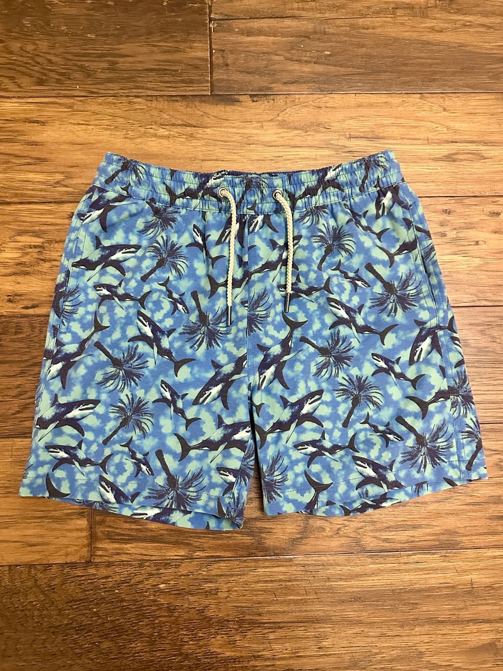Boys' Fair Harbor Blue/Green Shark-Print Swim Trunks